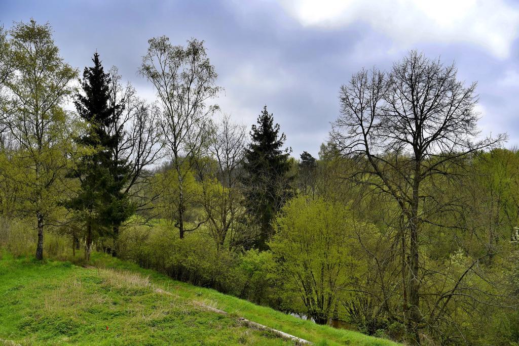 Holiday Home Turovec Табор Екстериор снимка